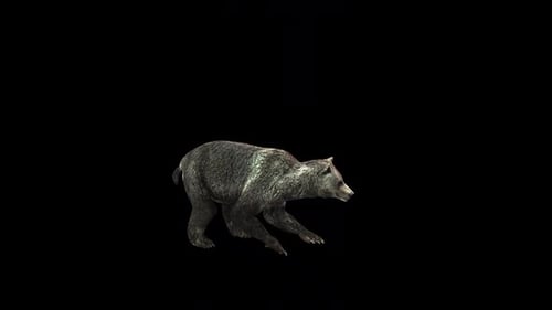 Bear Stand to Hind 3