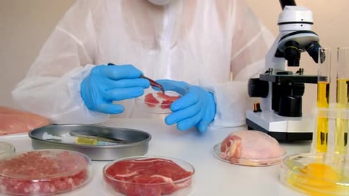 Scientist Inspecting Raw Meat in a Laboratory