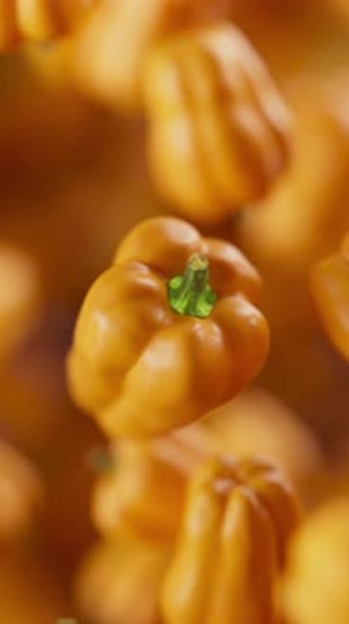 Animation of a group of bell pepper. Defocus. Close-up.