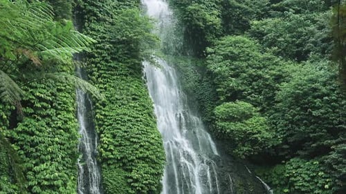 View on Water of Mountain Waterfall Falling in Green Nature of Forest Landscape