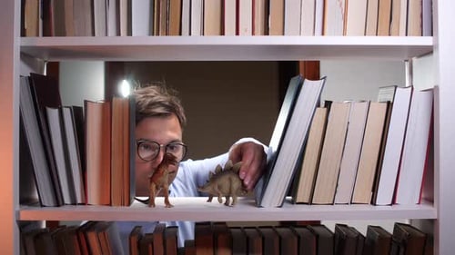 Paleontologist Playing with Dinosaur Toys on Bookshelf