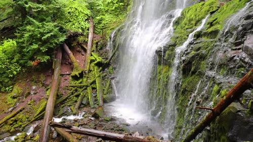 Proxy Falls in Oregon, USA