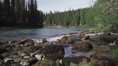A stable shot of a river passing by with rocks in the foreground and tall trees in the background.