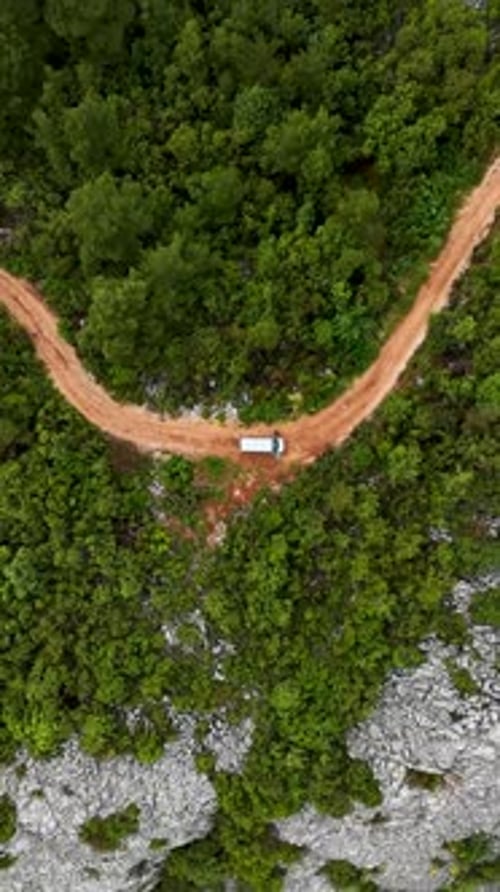Vertical Video Aerial Journey Through Serene Green Forest Cinematic Quest for Natural Harmony