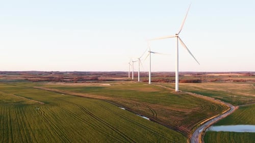 wind turbines in the field