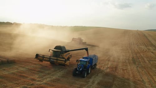 Combine Harvester Fills Tractor Trailer with Grains in Field