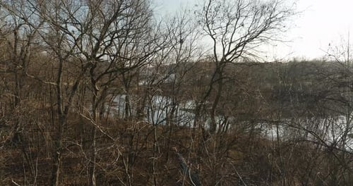 Dried Trees And Branches Without Leaves In Lake Flint Creek, Arkansas, USA. Tilt-up Shot