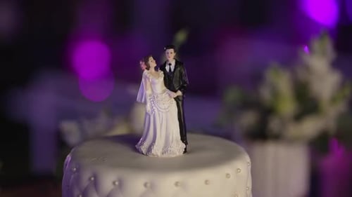 Bride and Groom Cake Topper on Wedding Cake