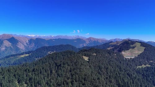 A beautiful valley with mountains and thick green forest views.