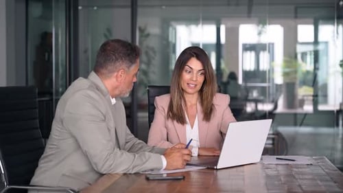 Two Professional Business Managers Working Using Laptop at Office Meeting