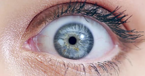 An attractive young woman's eye in the studio