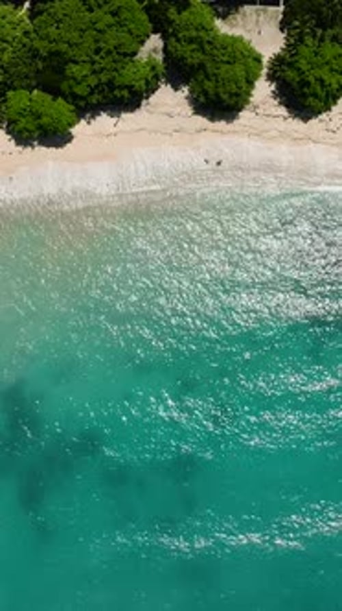 Beach and Ocean Waves on Coastline of Samal Island Davao Philippines