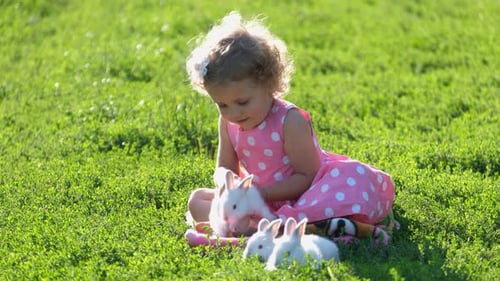 A Beautiful Curly Little Girl is Playing with a White Hare in the Garden
