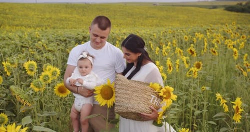 A Family With A Baby On A Photo Shoot In A Sunflower Field