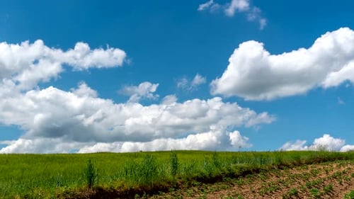 Rural landscape