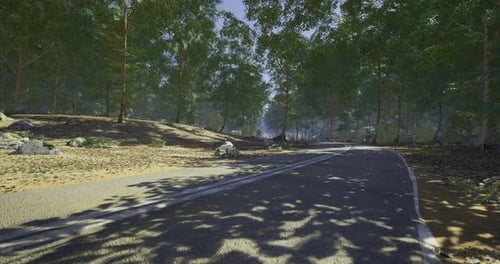 Scenic Forest Road Winding Through Lush Greenery Under Clear Skies