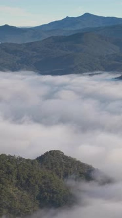 Landscape of misty valley and mountain clouds sea