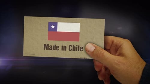 Made in Chile box pack in hand