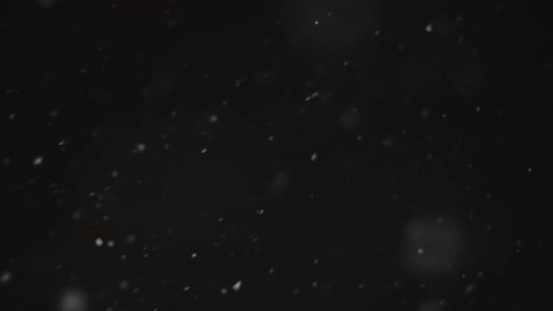 Schneeflocken fallen vom Himmel. Es schneit in der Nacht. Winterschnee.