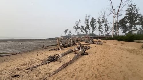 Cinematic ultra wide shot of a beach during daytime after cyclone hit in Tajpur, India.