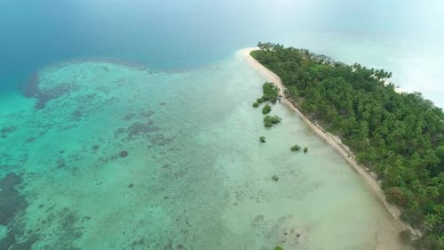 Aerial View of a Tropical Island with Palm Trees and White Sand Beaches Amazing Tropical Island in