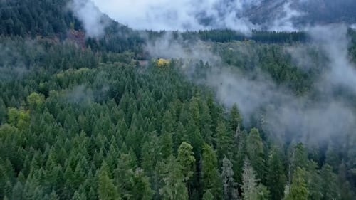 Flying over a fog covered forest in Oregon
