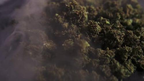 Cannabis cbd and thc marijuana buds recorded from up close as the smoke drifts by. Alternative medic