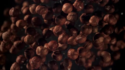 Shelled Hazelnuts Floating in Place on Black