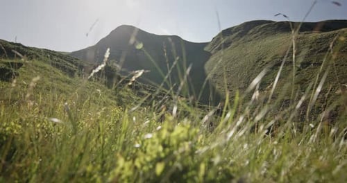 Young Couple Hiking on Sunny Mountain Trail