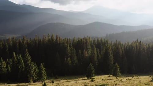 Aerial view of foggy majestic Carpathian Mountains. Beautiful landscape of untouched nature