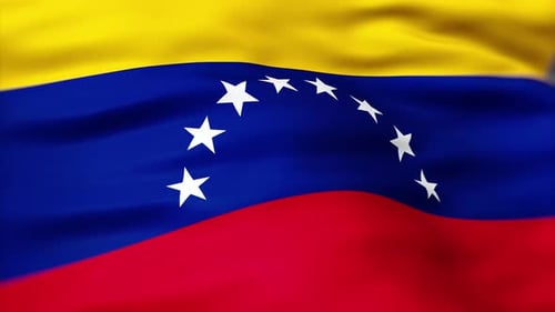 Realistic Waving Flag of Venezuela with Fabric Texture