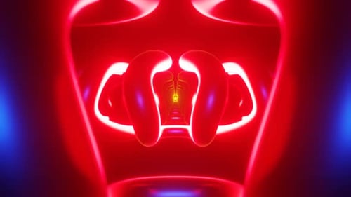 Bright Futuristic VJ Backdrop with Psychedelic Imagery