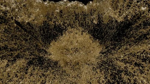 Oil