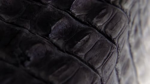 An Intricate And Detailed Leather Material. Close-up Shot