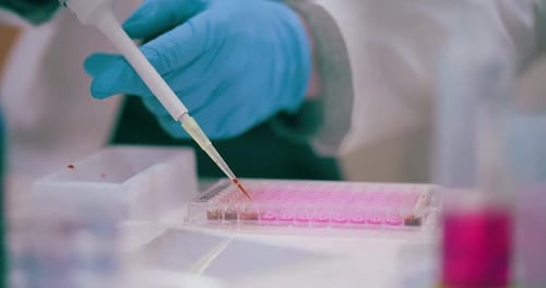 Close-up: Scientist working with test tubes in lab