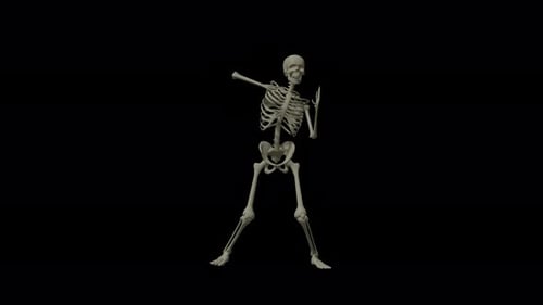 Animated 3D Skeleton Doing Popular Dance Moves Loop