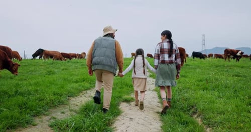 Cow, holding hands and back of family on farm for cattle agriculture, love and support