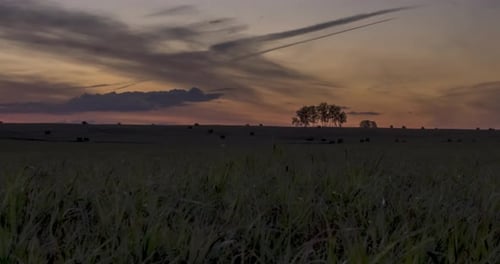 Flat Hill Meadow Timelapse at the Summer Sunrise Time Wild Nature and Rural Field Sun Rays Trees