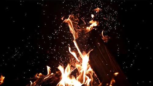 Firewood Burns with Bright Flames with Sparks
