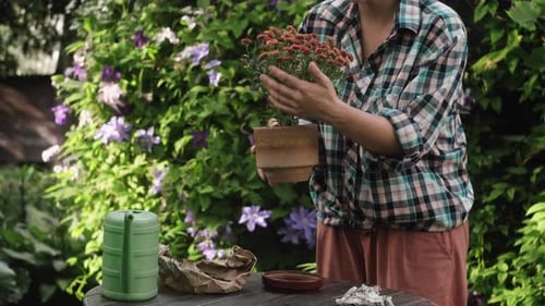 Female Gardener Takes Care of Potted Flowering Plant in Backyard