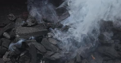 Smoke Rises From Burning Charcoal in Grill During Barbecue Gathering