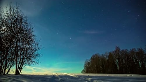 Vibrant Yellow And Green Northern Lights (Aurora Borealis) In The Starry Night Sky Over Countryside