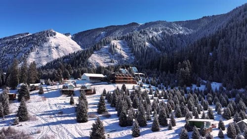 Snowy Mountain Hotel Surrounded By Pine Trees in Winter