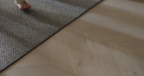 Bare Feet Walking Indoors On Wooden Floor And Carpeted Area