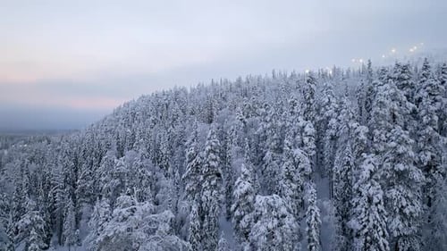 Aerial view flying over snowy woodlands, dark winter morning in the arctic north