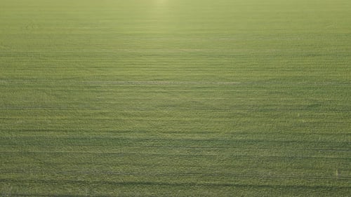 Aerial Shot
