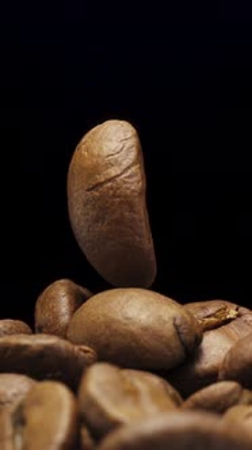 One coffee bean on a black background rotates on top of a pile of coffee beans. Close-up. Vertical v