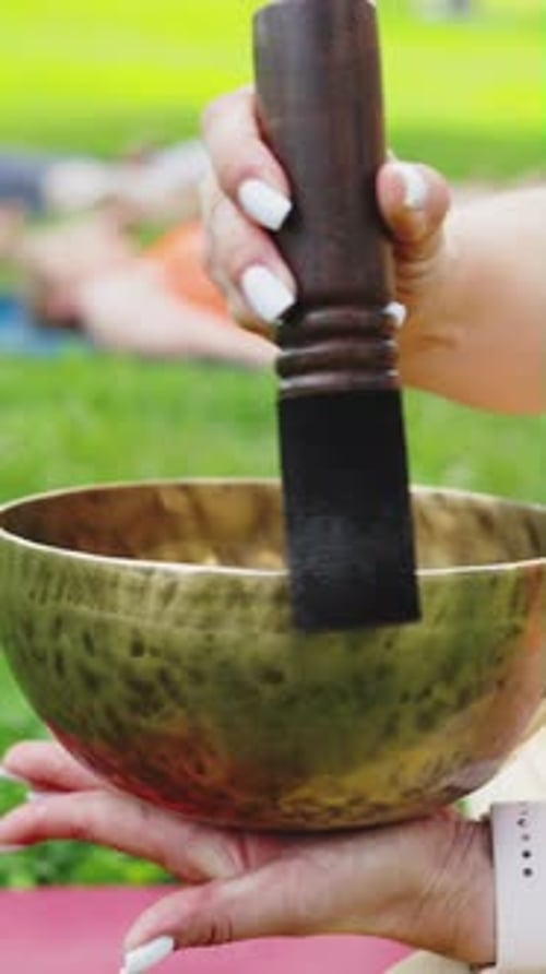 Singing Bowl Sound Healing in Sunny Park