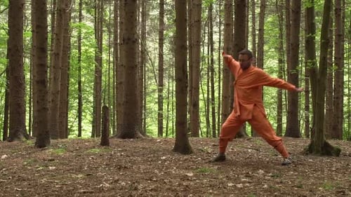 Black Belter Kung Fu Master Practicing In The Forest. - wide shot