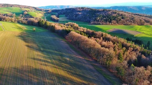 Mit Wiesen bedeckte Hügel und Felder mit grünem Gras in der Abendsonne